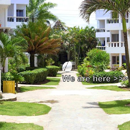 Condo Cabrinha - Direct On Kite Beach Cabarete Szoba fotó