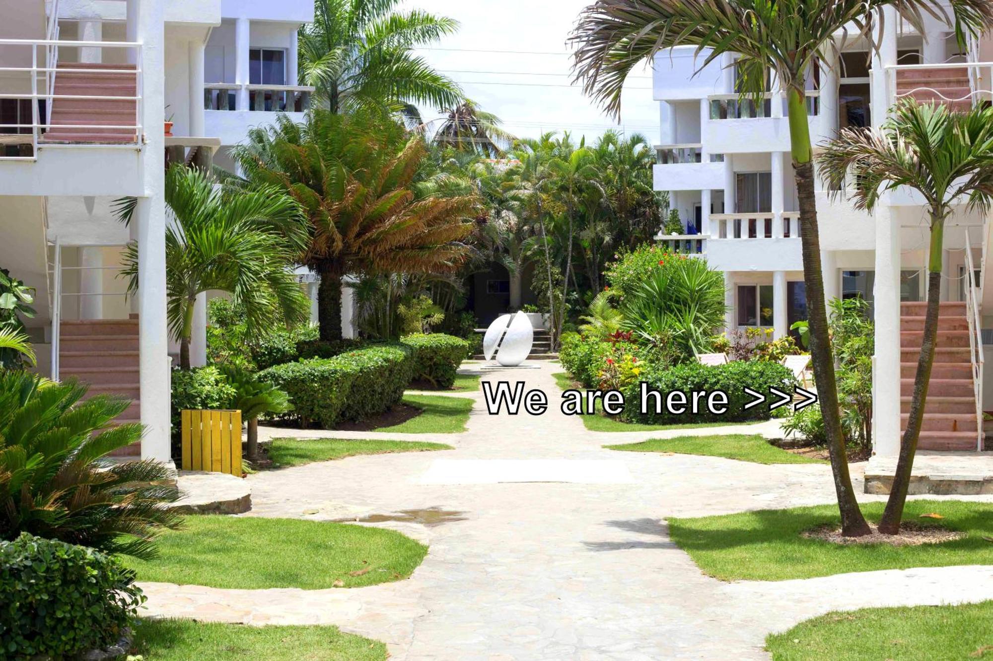 Condo Cabrinha - Direct On Kite Beach Cabarete Szoba fotó